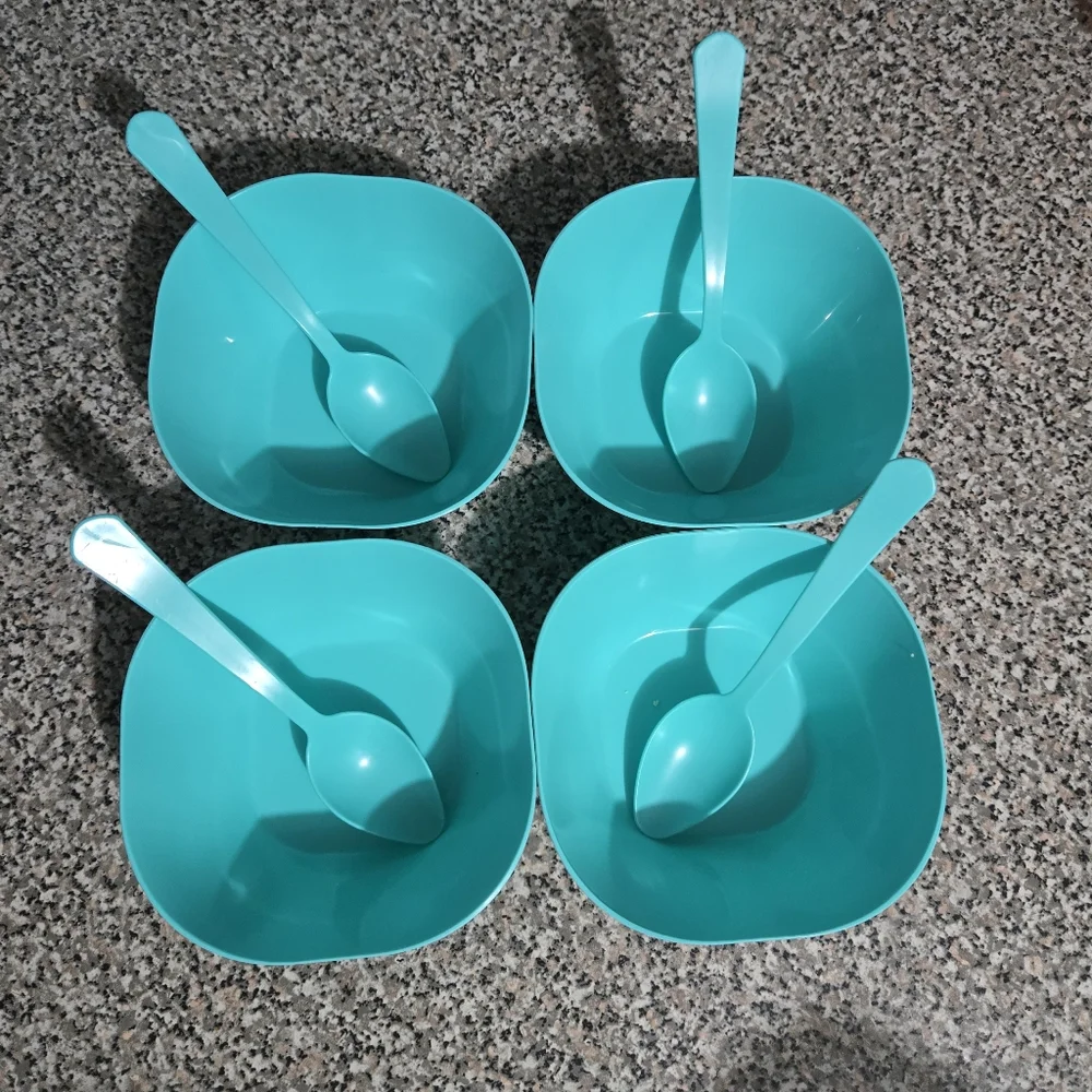 🍒🍒 Aqua Dining Bowl and Spoon Set